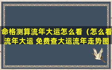 命格测算流年大运怎么看（怎么看流年大运 免费查大运流年走势图）